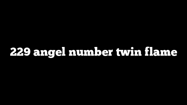 229 angel number twin flame