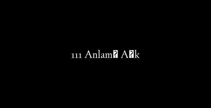 111 Anlamı Aşk