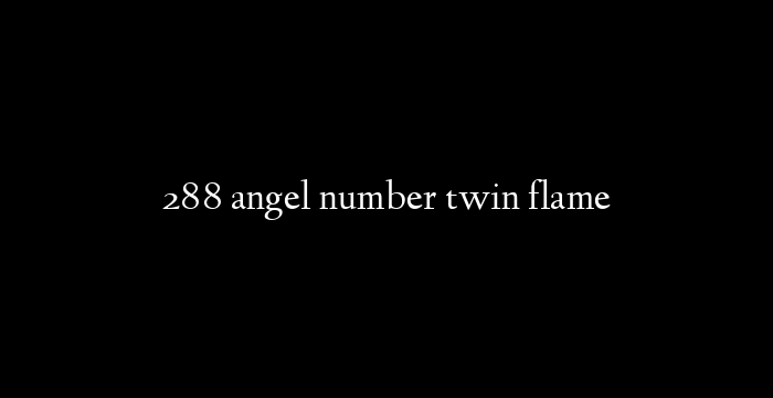 288 angel number twin flame