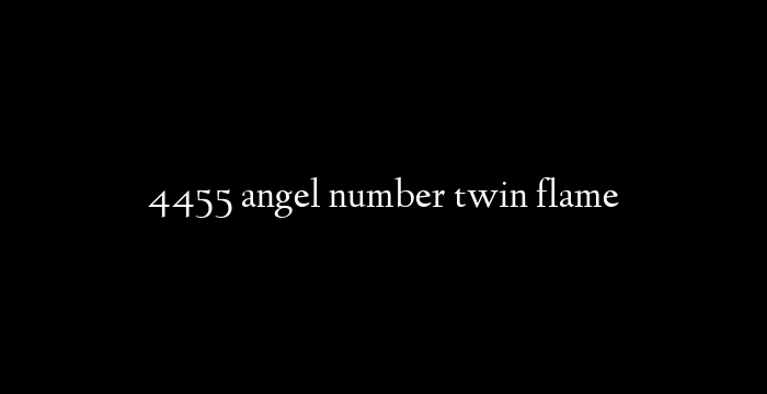 4455 angel number twin flame