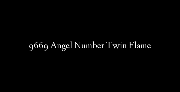 9669 Angel Number Twin Flame