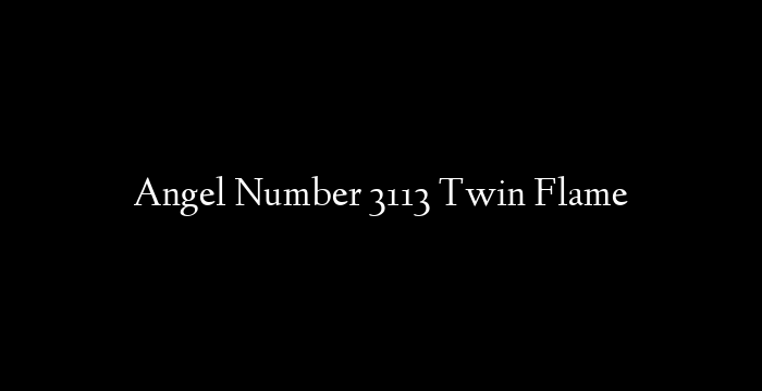 Angel Number 3113 Twin Flame