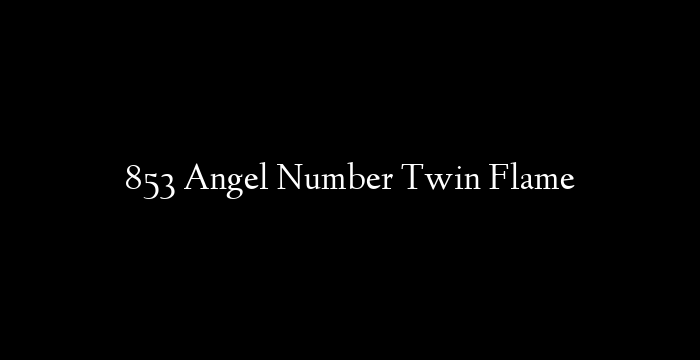 853 Angel Number Twin Flame